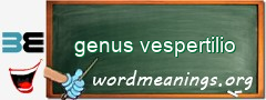 WordMeaning blackboard for genus vespertilio